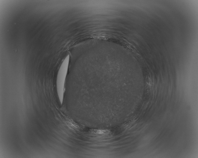 X0000067500663200604211726