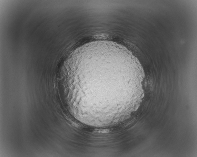 X0000067500665200604211726