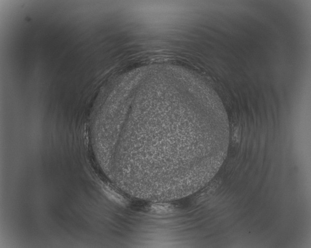 X0000067500666200604211726