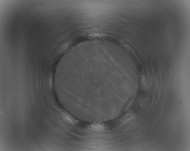 X0000067500668200604211726