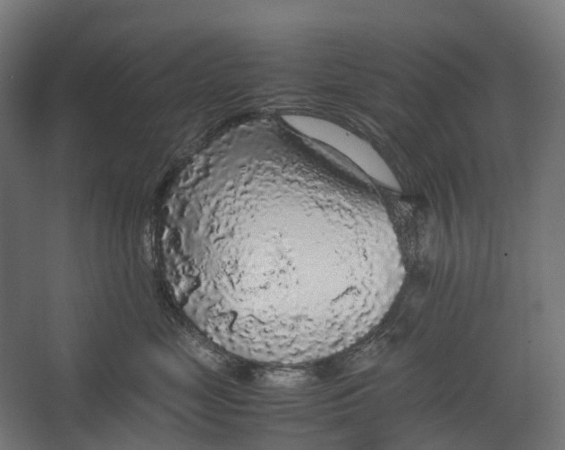 X0000067500669200604211726