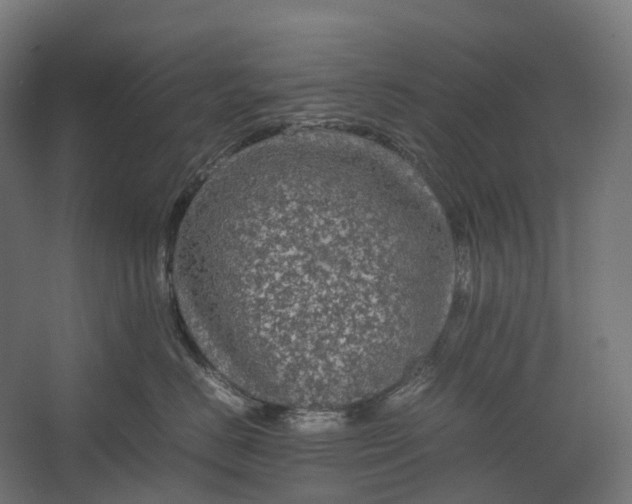 X0000067500670200604211726