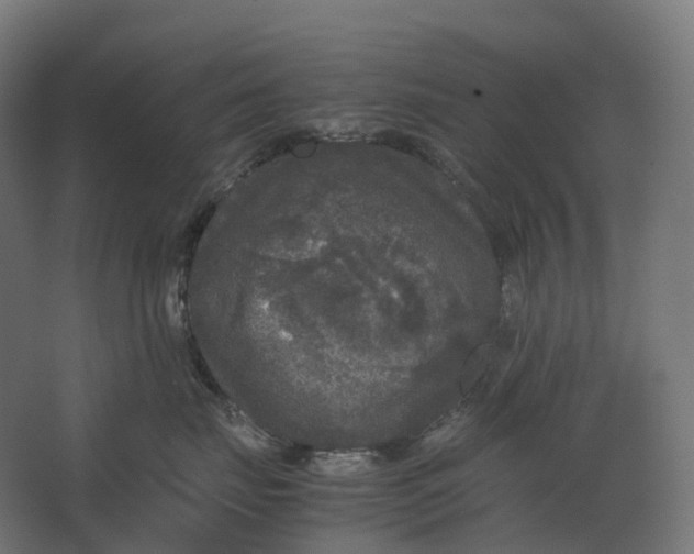 X0000067500671200604211726