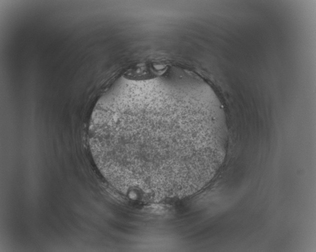 X0000067500672200604211726