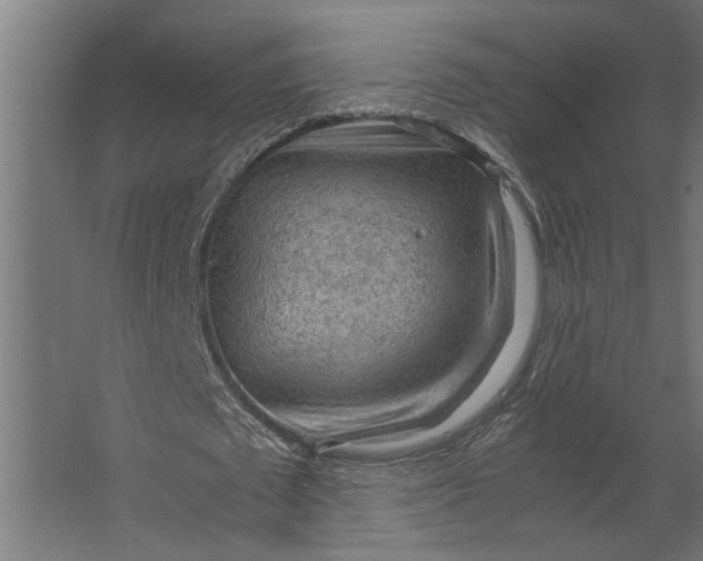 X0000067500673200604211726