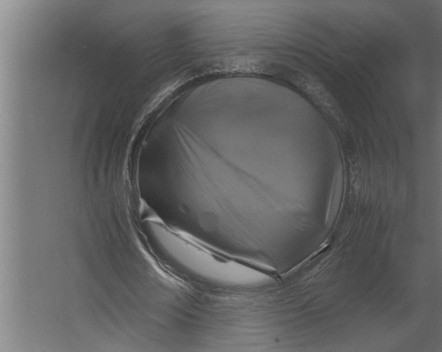 X0000067500674200604211726