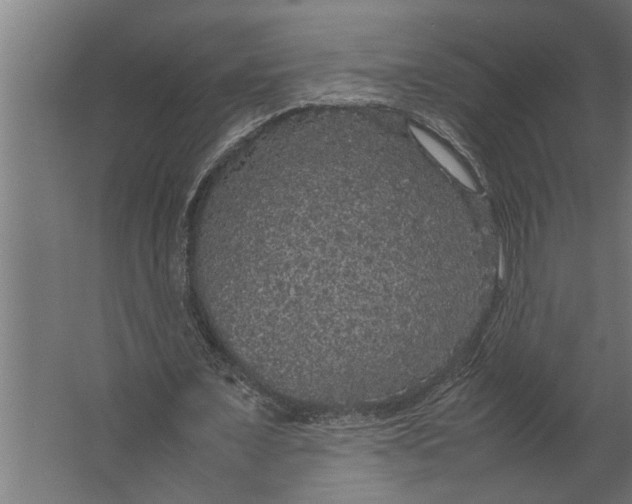 X0000067500675200604211726