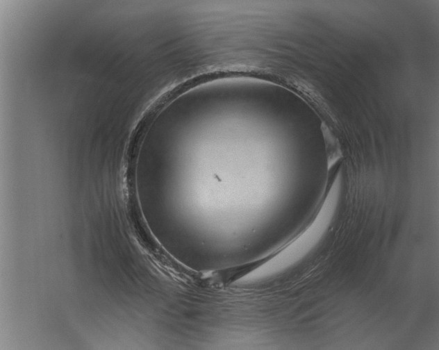 X0000067500676200604211726