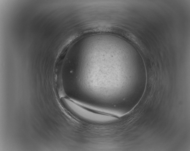 X0000067500677200604211725