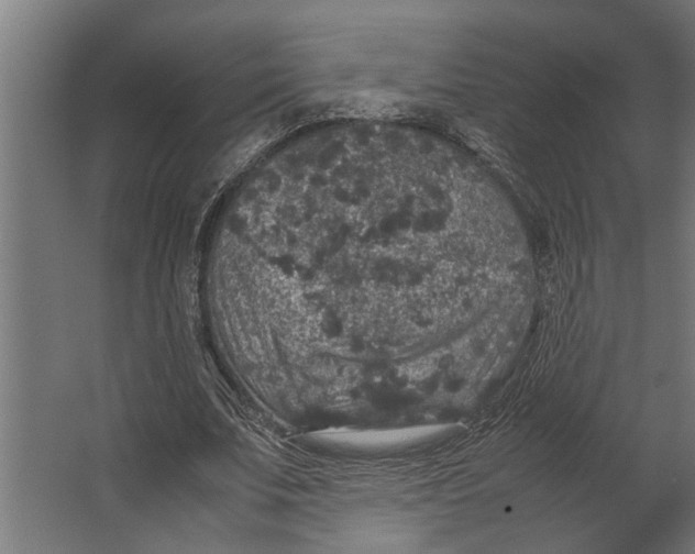 X0000067500679200604211725