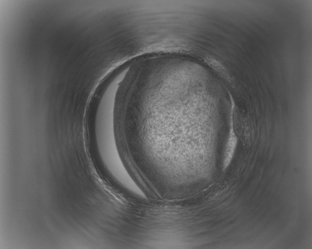 X0000067500680200604211725