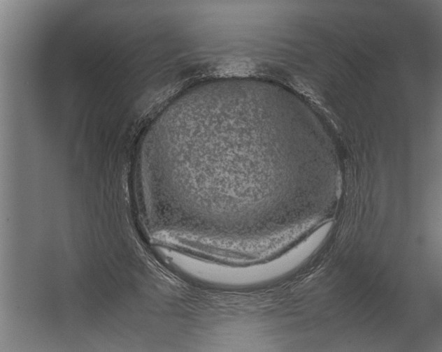 X0000067500681200604211725