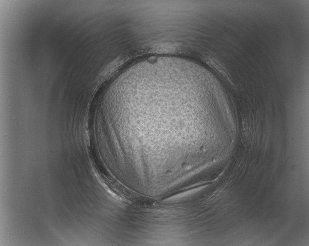 X0000067500682200604211725