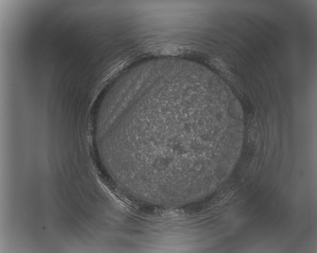 X0000067500683200604211725