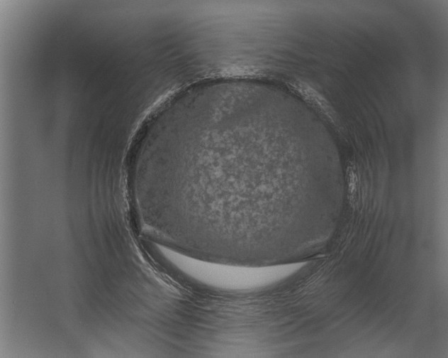 X0000067500684200604211725