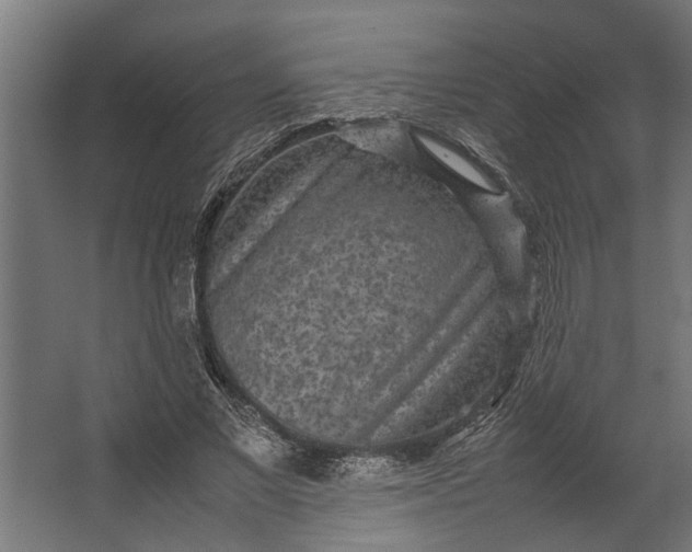 X0000067500685200604211725