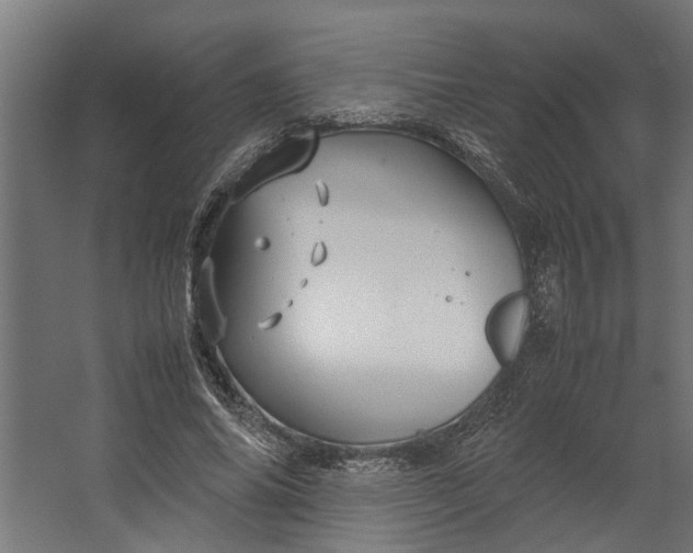 X0000067500686200604211725