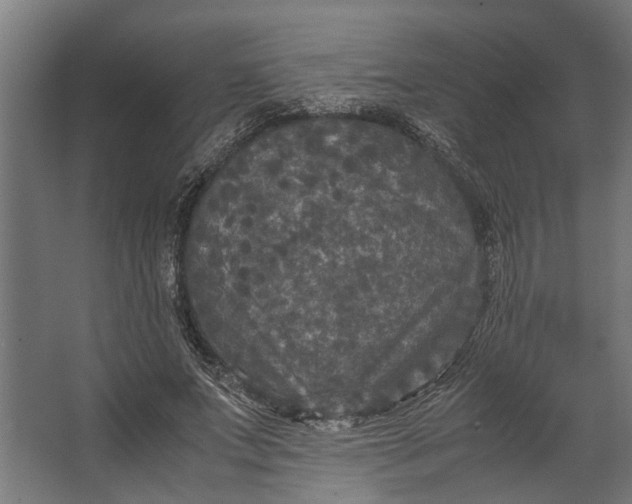 X0000067500687200604211725