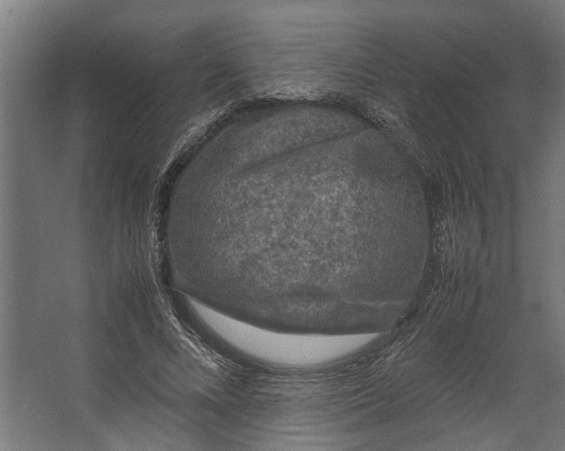 X0000067500688200604211725