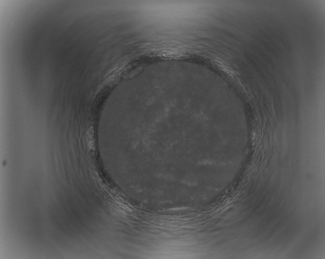 X0000067500689200604211725