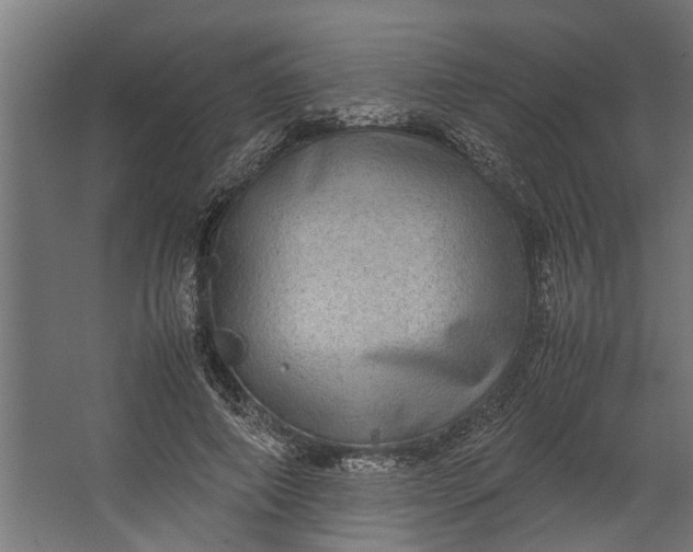 X0000067500690200604211725