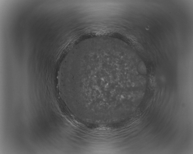 X0000067500691200604211725