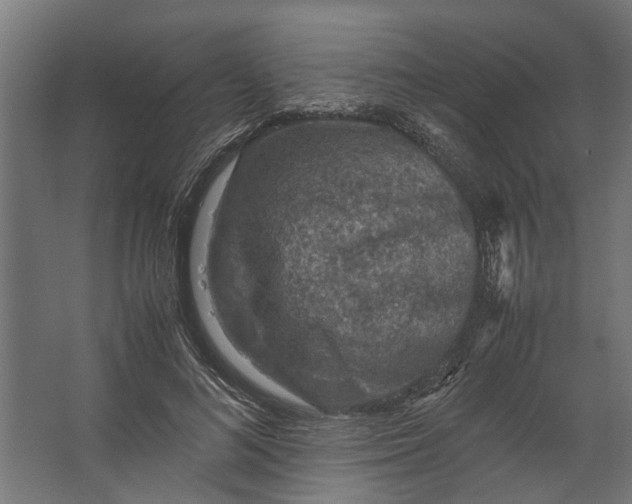 X0000067500692200604211725