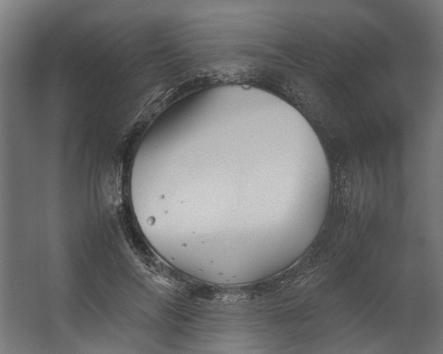 X0000067500694200604211725