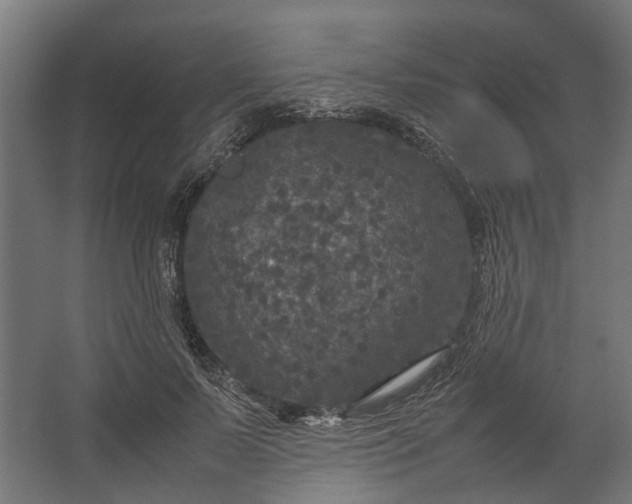 X0000067500695200604211725