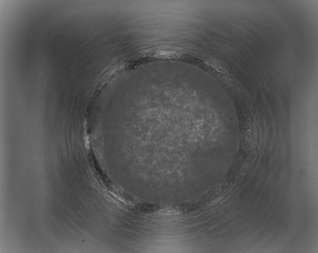 X0000067500696200604211725