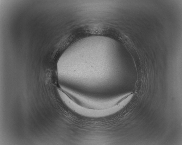 X0000067500697200604211725