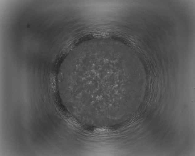 X0000067500699200604211725