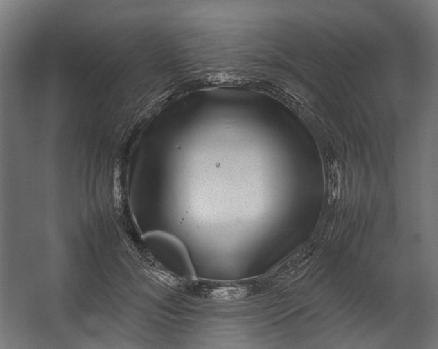 X0000067500700200604211725