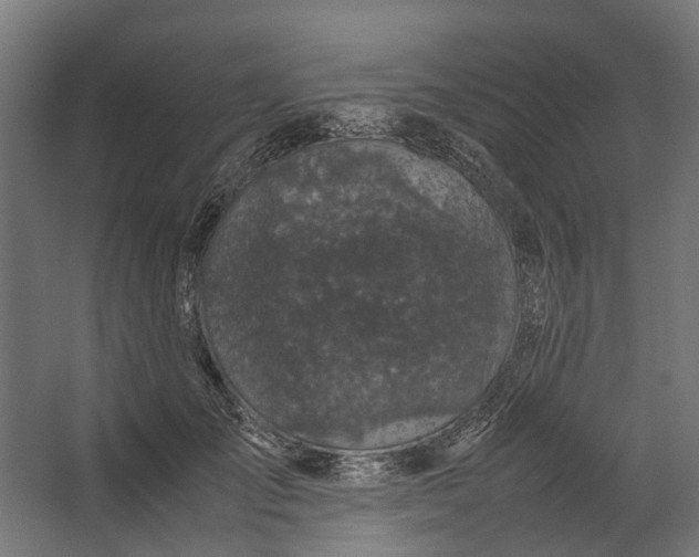 X0000067500701200604211725