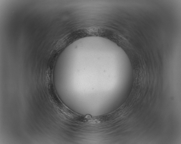 X0000067500702200604211725