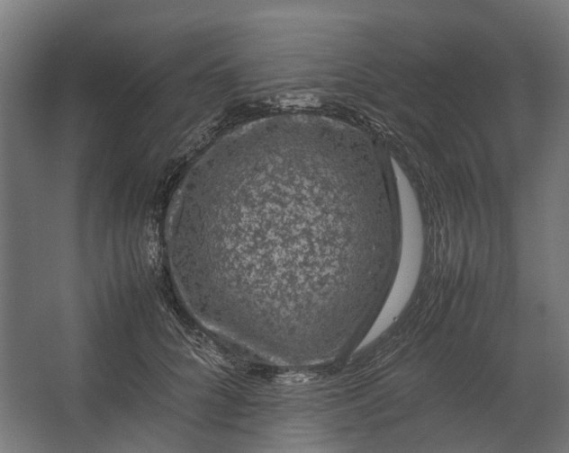 X0000067500704200604211725