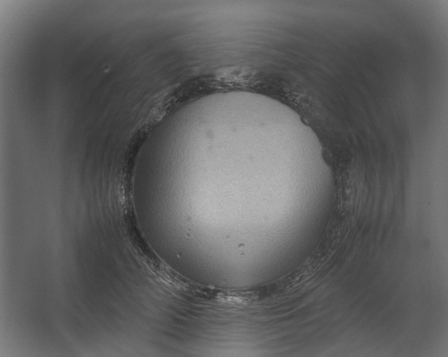 X0000067500706200604211725