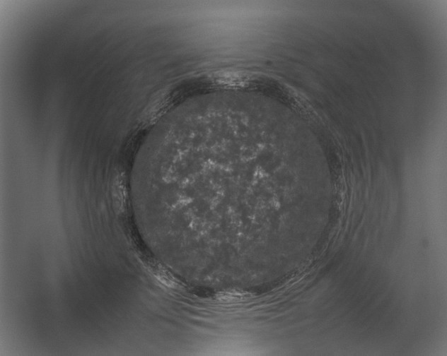 X0000067500707200604211725