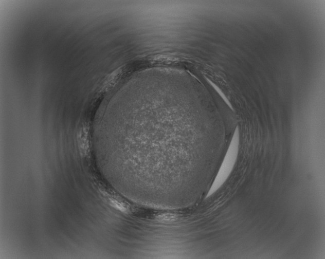 X0000067500708200604211725