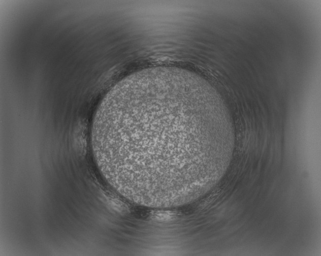 X0000067500710200604211725