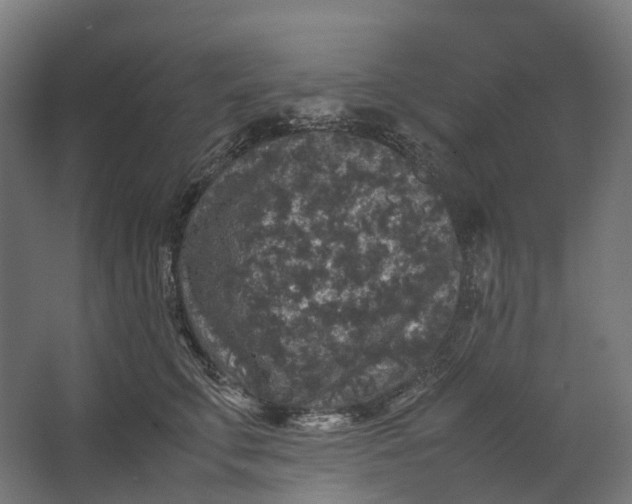 X0000067500711200604211725