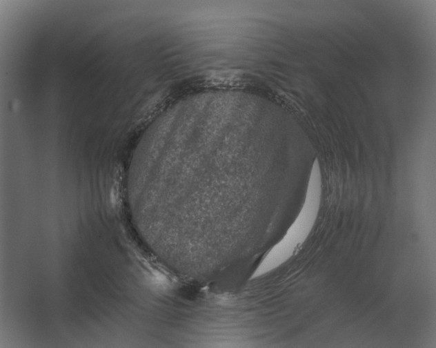 X0000067500712200604211725