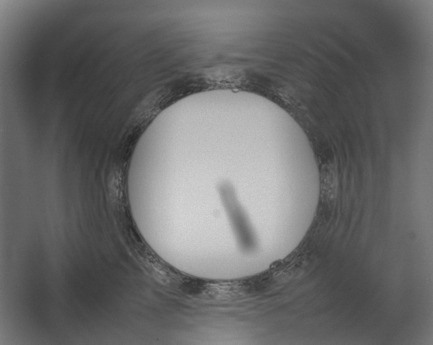 X0000067500713200604211725