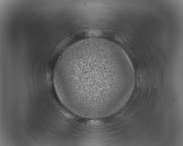 X0000067500714200604211725