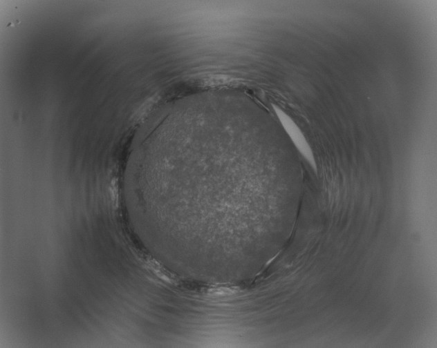 X0000067500716200604211725