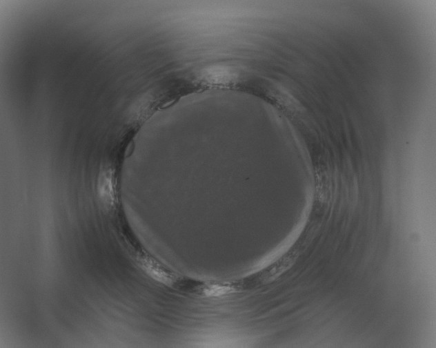 X0000067500718200604211725