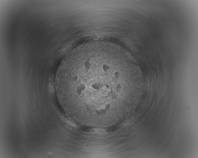 X0000067500719200604211725