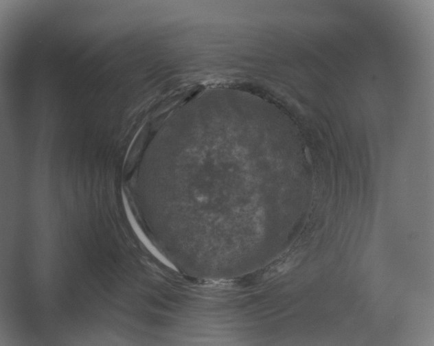 X0000067500720200604211725