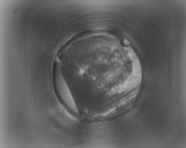 X0000067500721200604211724