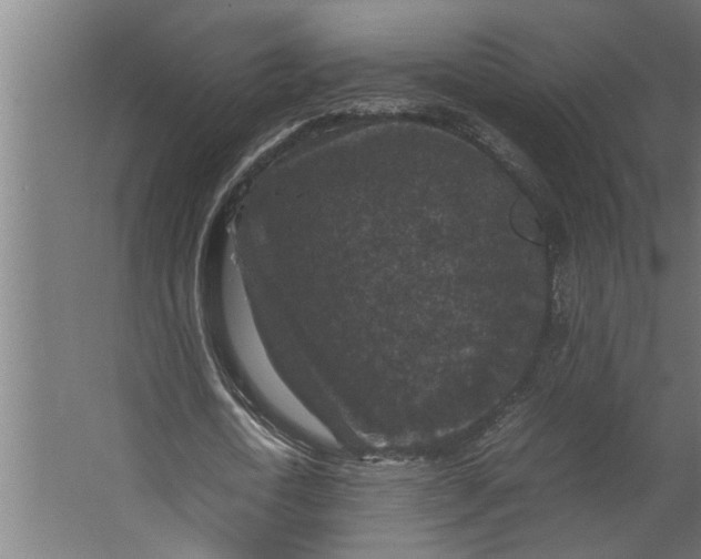 X0000067500722200604211724